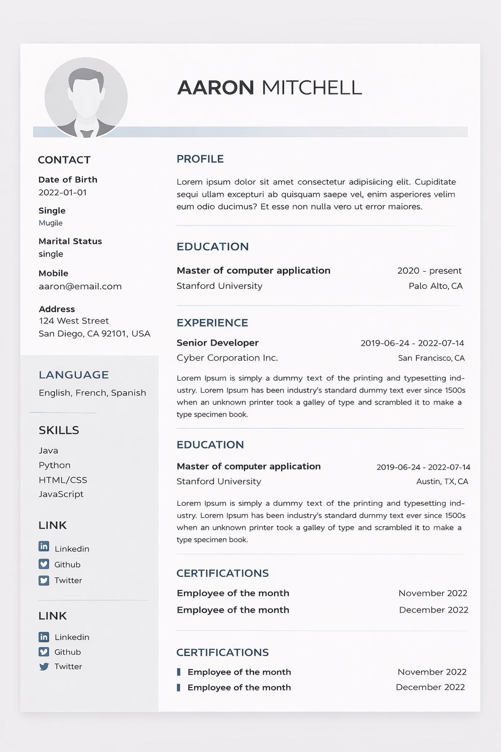 Resume Template 1